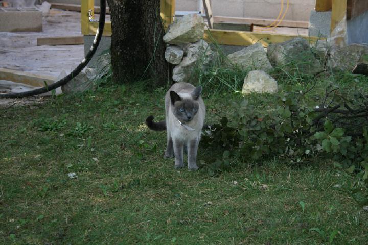 2013-08 003.JPG